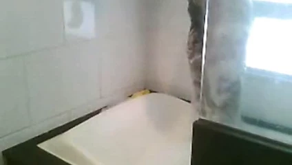Moreno na banheira