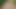 Fucks in the forest video
