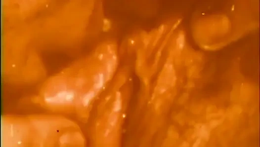 A giant big cock for a wild nasty bitch