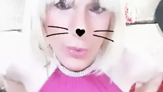 pinkwabbit