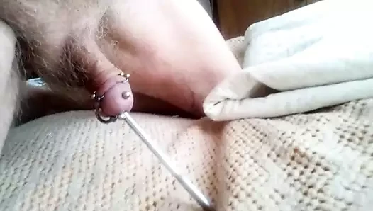 sondaj