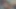 Ayın fetiş hayran kitlesi videosu işiyor