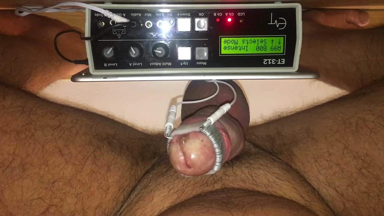 자지 머리 추정 전기 고문