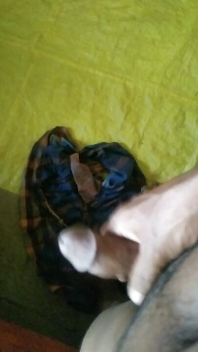 East Bangladesh boy handjob