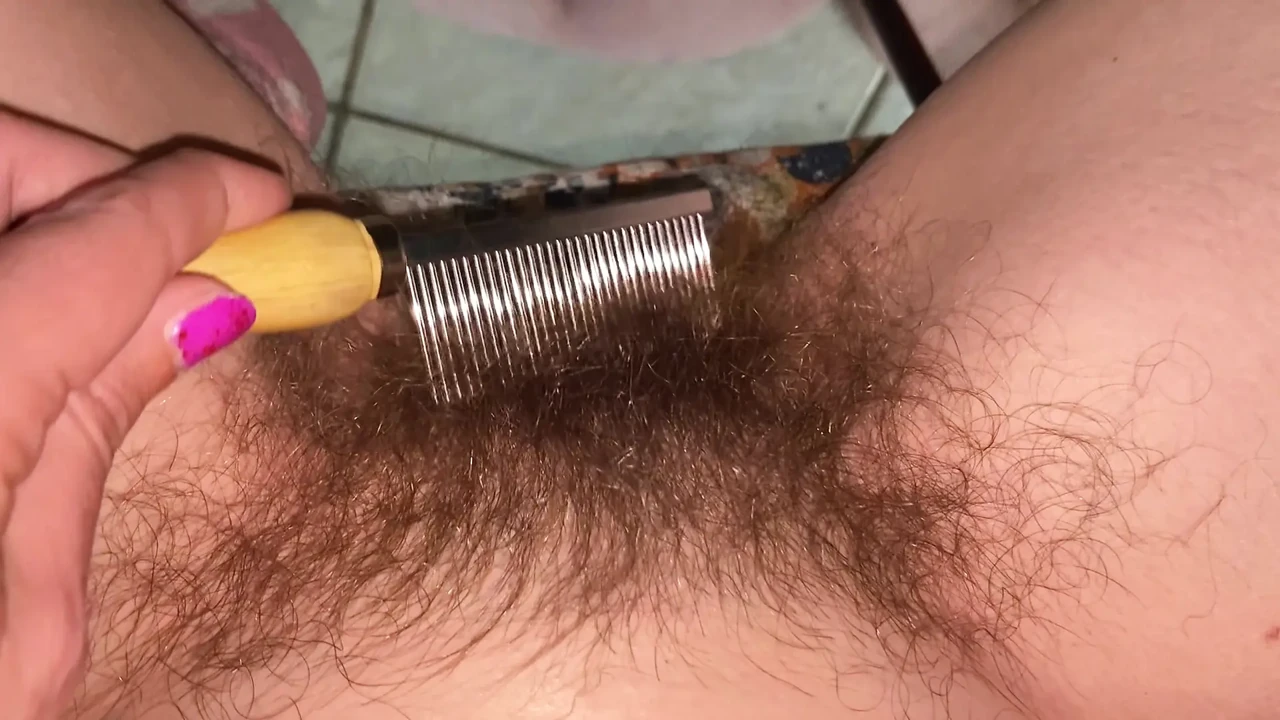 刷我的灌木