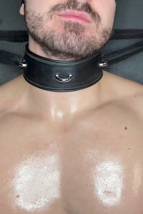 Felix Xbound Nyc