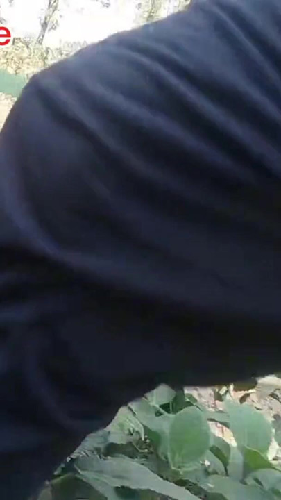 Desi bangali boy in forest fuk tree | Clip 1