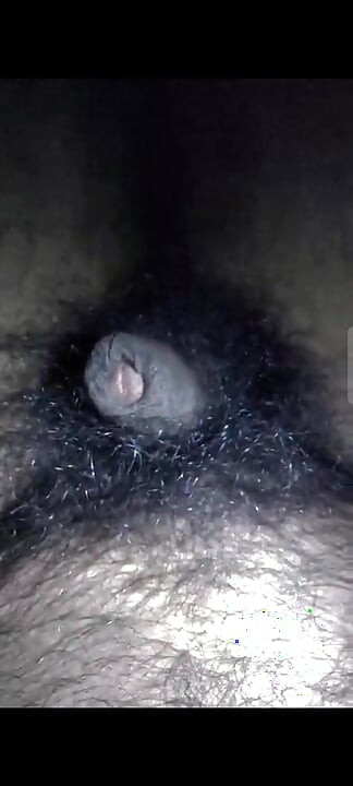 My dick is hungry for pussy