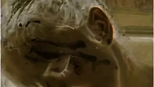 Ченмусийка (9)