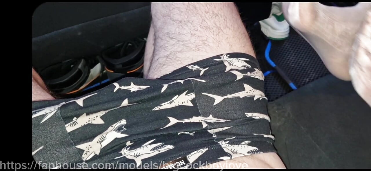 18 岁的 fucker 把一根粗大的鸡巴插进他的屁股，在高速公路上的车里撕开他的紧身衣