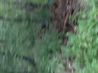 Szarpanie w lesie