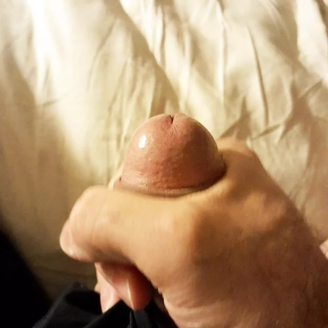 Horny Dilf Touching My Throbbing Cock to Summer Girl Crush