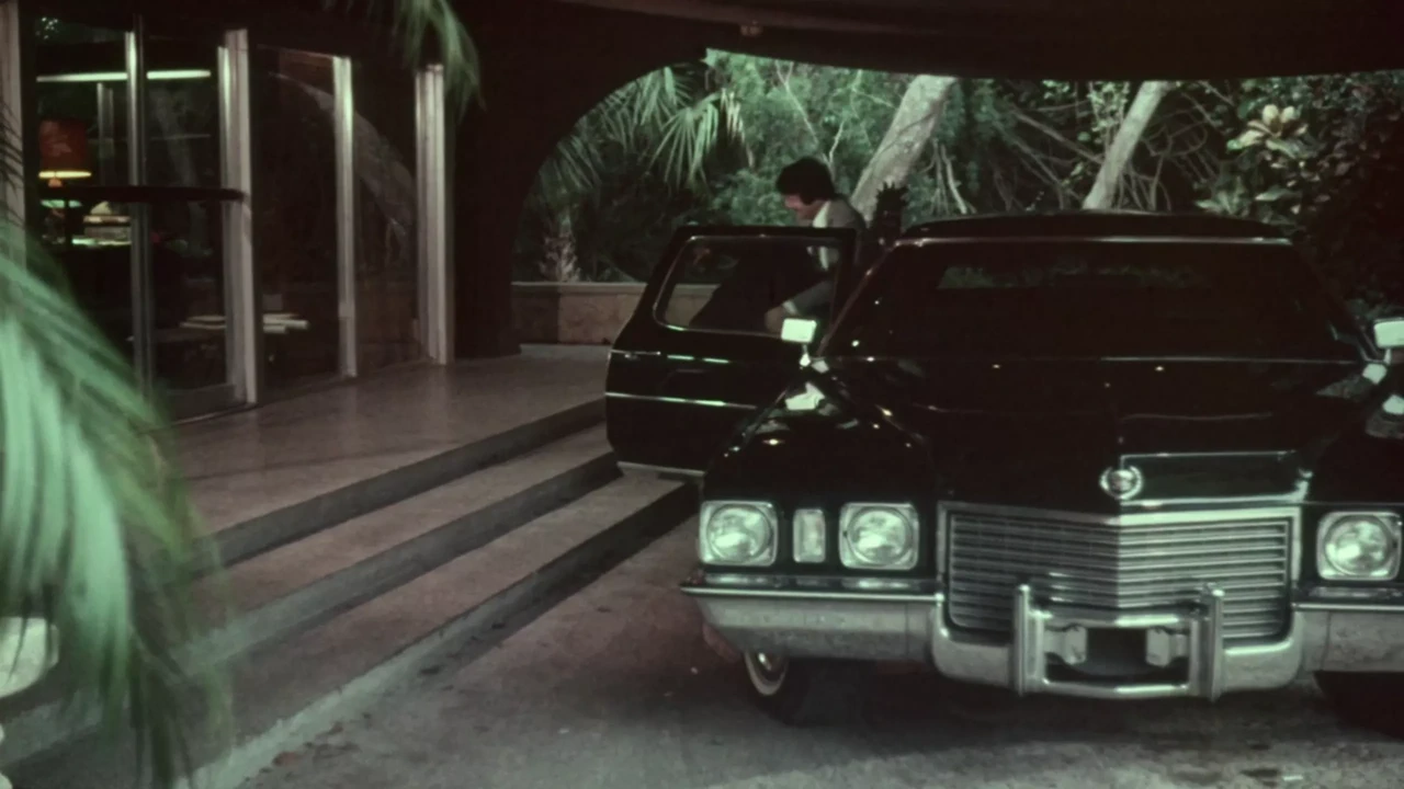 Opus 25（8k压缩）