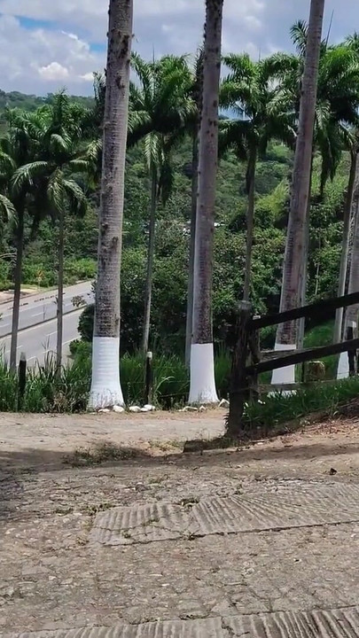 Soția infidelă suge pula și se fute în aer liber, apoi este futută dur și crud după lins în cur | Clip 1