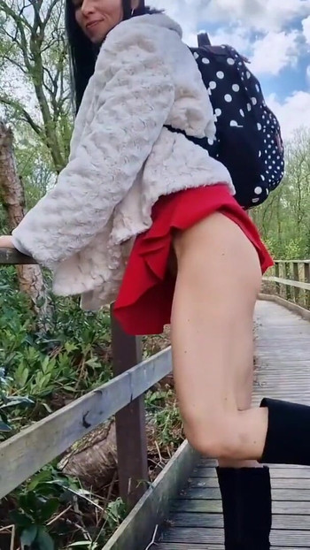 Pregled videozapisa