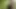 Ormanda ich savaşında tek başıma çok heyecanlandım ganz aufgeregt alleine im wald
