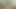 Cheating Wife Teases Her Cuckold Husband, Who Can Only Masturbate Deep in the Mountains, by Sending Him a Video of Her Pussy.