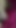 Unforgettable moment from "Dogy style main sali ki chudai Indian desi sex video"