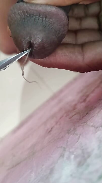 Small Black Cock