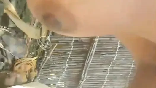 Deshi gaav ki ladki ki nangi vidoe