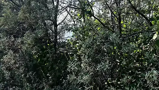 Outdoor Sex