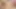 Stepsisters Dakota Burns & Harlow West Decide To Start Making Sexual Content Online To Become Famous