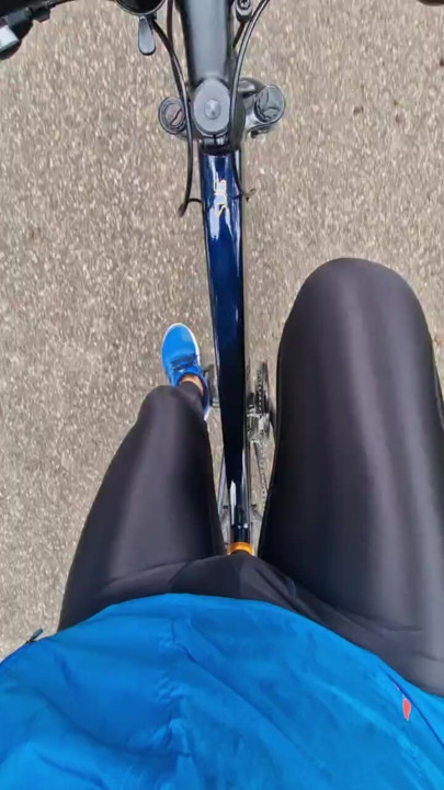 Spandex