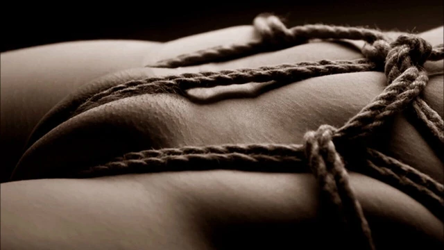 Secretly Aroused in Retro Monochrome 3379