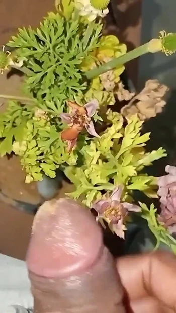 Jaw-dropping moment from "First Time Masturbating Video ( Teen Masturbation videos)"