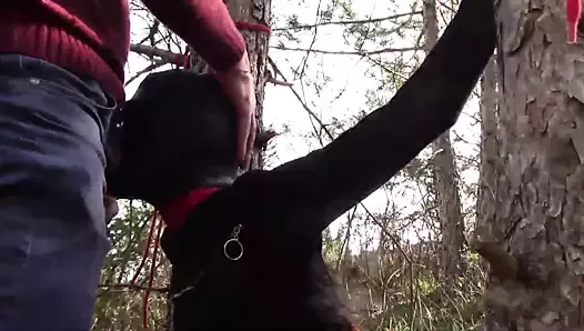 Attachée à un arbre, masquée et gorge profonde en plein air sans pitié