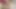 Seksi götlü orta yaşlı seksi kadın anal seks yapıyor