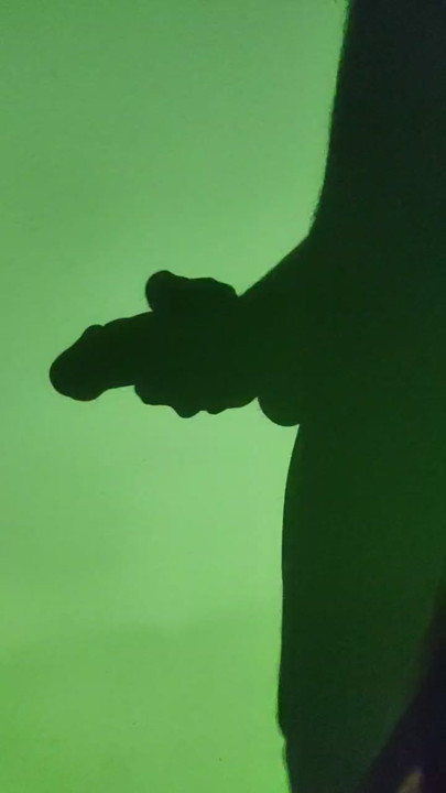 Quente tamil indiano cara Masterbating bigdick indiano bbc