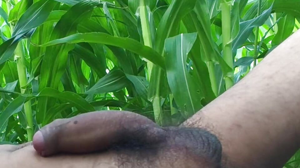 Worldwide Viral Desi Hunk Solo Action Vol 10 - Premium Faceless Amateur Close-up Intense Stroking Masterclass 4K