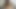 Tantaly Sex Doll Torso Condom Fisting Handjob Shanaxnow