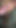 Epic moment from "Erotic story for women - How it feels for us to be horny together - ASMR - edging - precum and open"