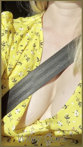 Wifey flashes her perfect tits while driving in the car (part 3)