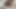 twink cumshot compilation