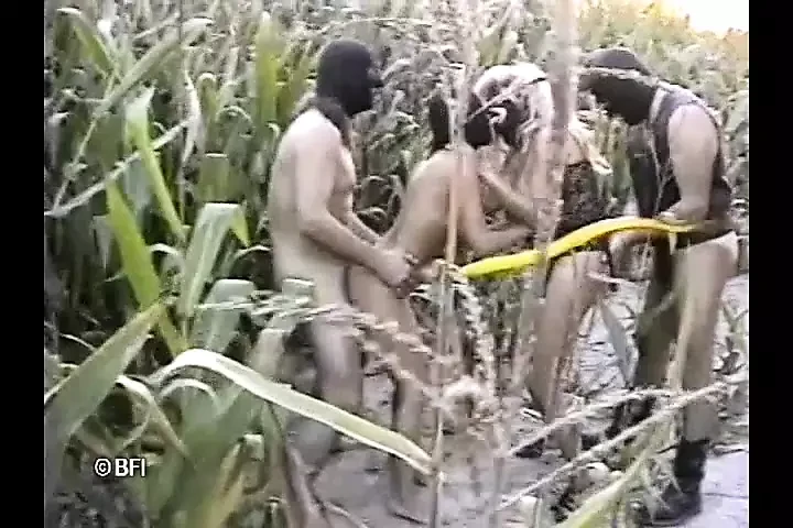 The Corn on the Cob.