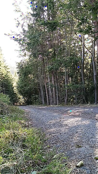 Une motarde se masturbe dans la nature