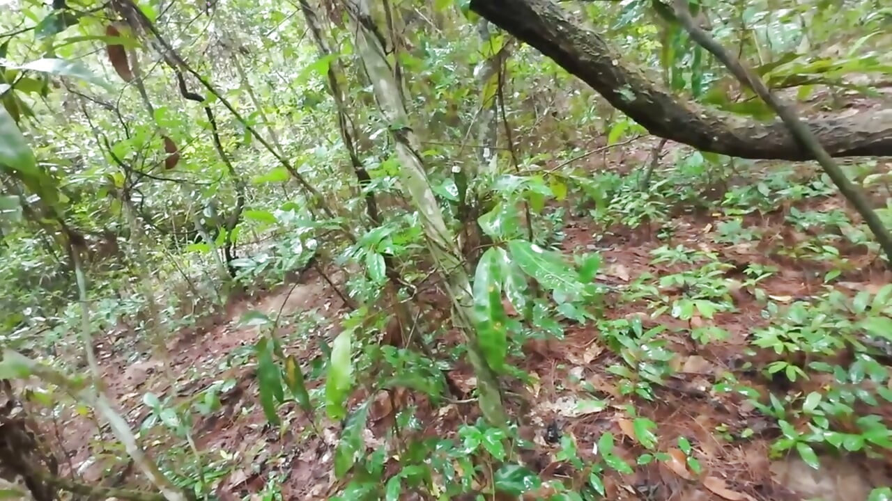 Thai Teenager Walks around Picking Mushrooms and Gets Fucked in the Pussy. Thai Audio