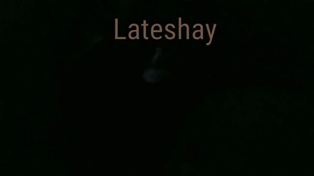 bbwslutbigtitsandass Lateshay big tits sucking BBC