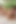 Orta yaşlı seksi kadın Brandi Love yetenekli mavi tanga giyiyor ve ıslak amının içine doldurulmuş külotla sikiliyor