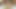 Cute and teen Pi Ladyboy wank