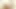 Busty Big Ass Asian Chick Fuck Private Tutor BBC Fuck and Creampie Lesson Fever Lotus
