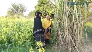 Village Life, vidéo de Billo Hote