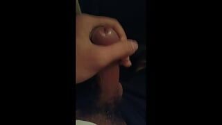 Public in bus cum