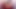 Eliza Ibarra Gets Caught By Roommate While Masturbating