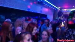 Real euro bachelorette sucks cock at club party