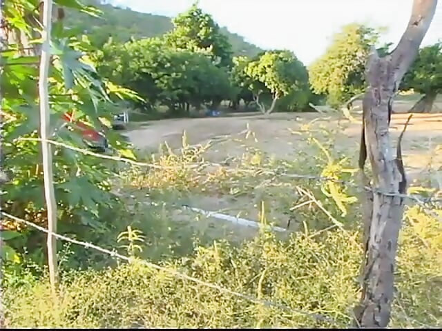 卡波，回歸。第 4 部分