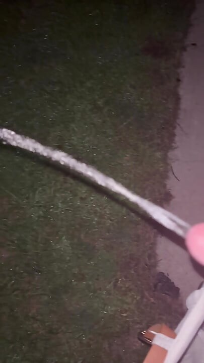 I HAD TO PEE LADIES